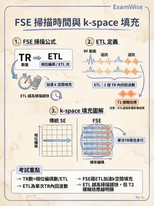 放射 - MRI脈衝序列與訊號技術 - AI 圖文解析預覽