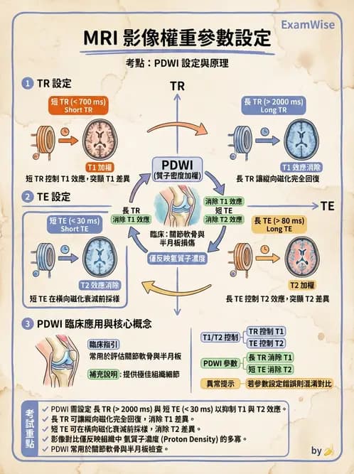 放射 - MRI脈衝序列與訊號技術 - AI 圖文解析預覽