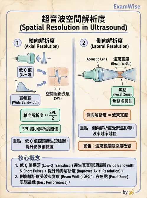 放射 - 超音波物理與技術 - AI 圖文解析預覽