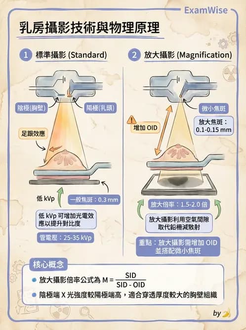 放射 - 乳房攝影與其他特殊檢查 - AI 圖文解析預覽