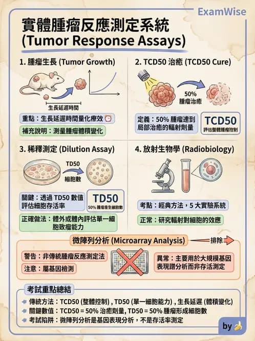 放射 - 腫瘤反應預測 - AI 圖文解析預覽