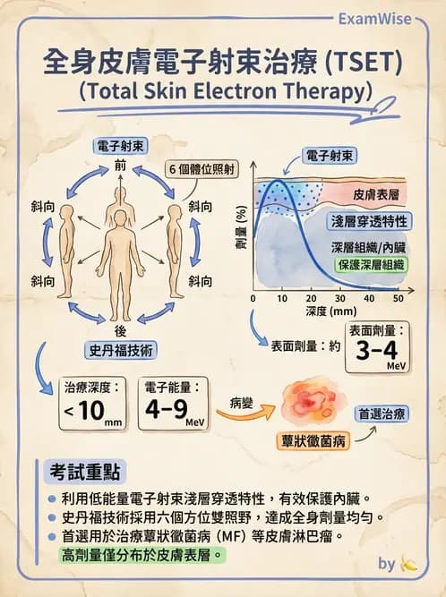 放射 - 全身放射治療技術(TBI/TSET) - AI 圖文解析預覽