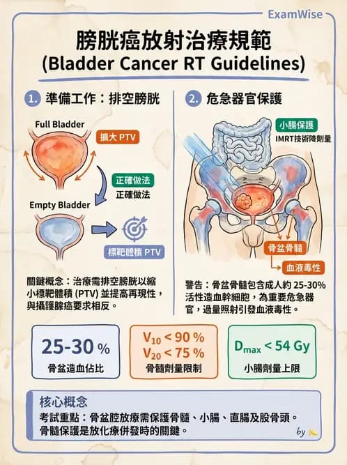 放射 - 疾病部位計畫與危急器官保護 - AI 圖文解析預覽