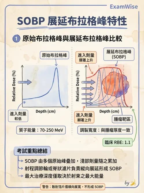 放射 - 質子與粒子治療 - AI 圖文解析預覽