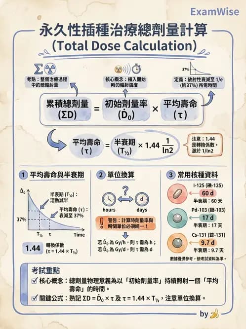 放射 - 插種近接治療 - AI 圖文解析預覽