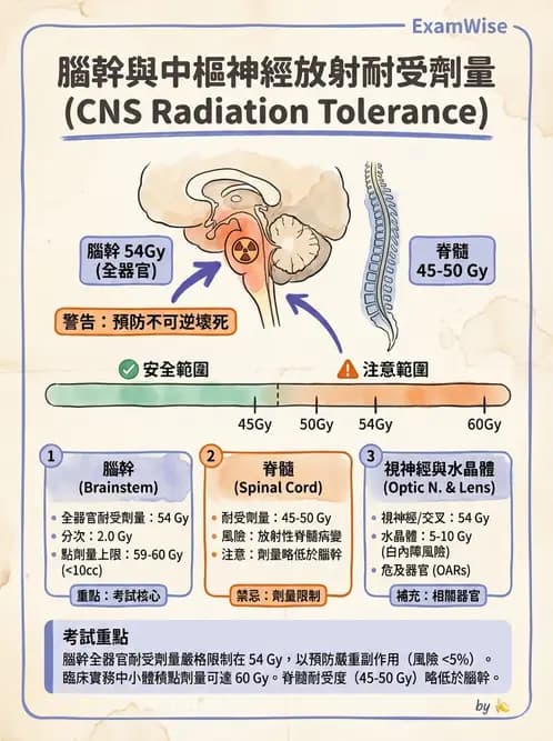 放射 - 疾病部位計畫與危急器官保護 - AI 圖文解析預覽