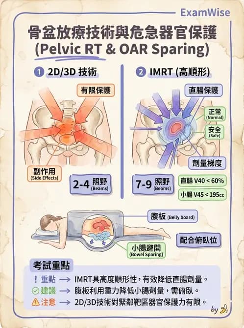 放射 - 疾病部位計畫與危急器官保護 - AI 圖文解析預覽
