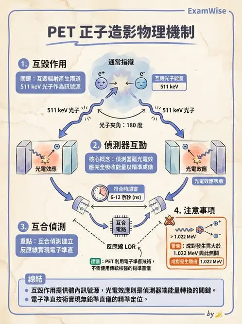 放射 - PET造影原理與重組 - AI 圖文解析預覽