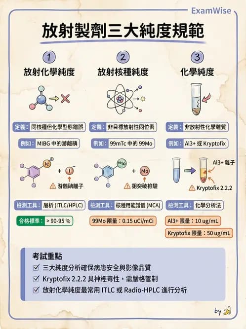 放射 - 肺肝膽與製劑通則 - AI 圖文解析預覽