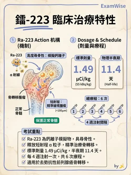 放射 - 腫瘤治療 - AI 圖文解析預覽