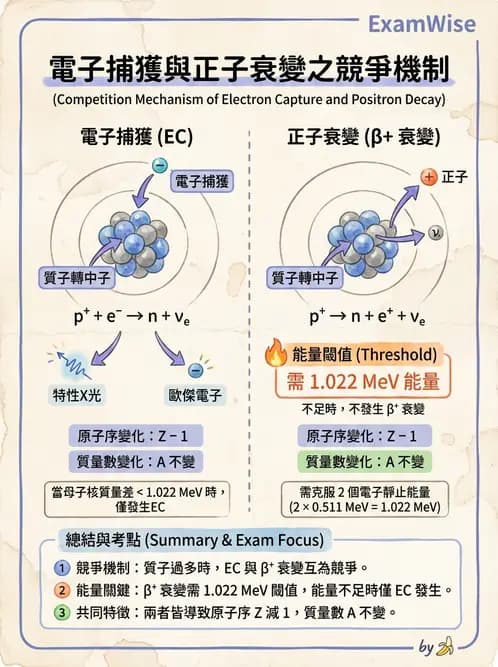 放射 - 蛻變類型與計算 - AI 圖文解析預覽