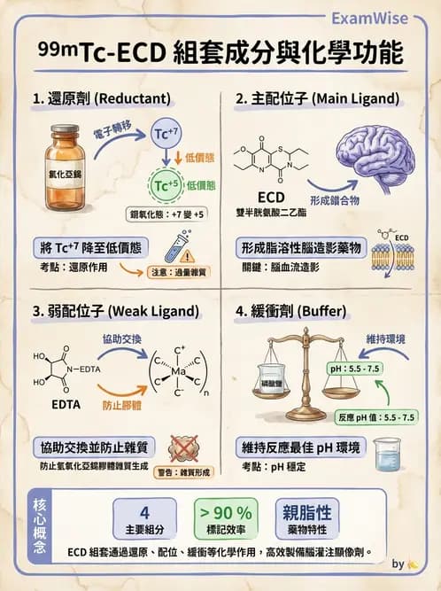 放射 - 腦部造影SPECT藥物 - AI 圖文解析預覽