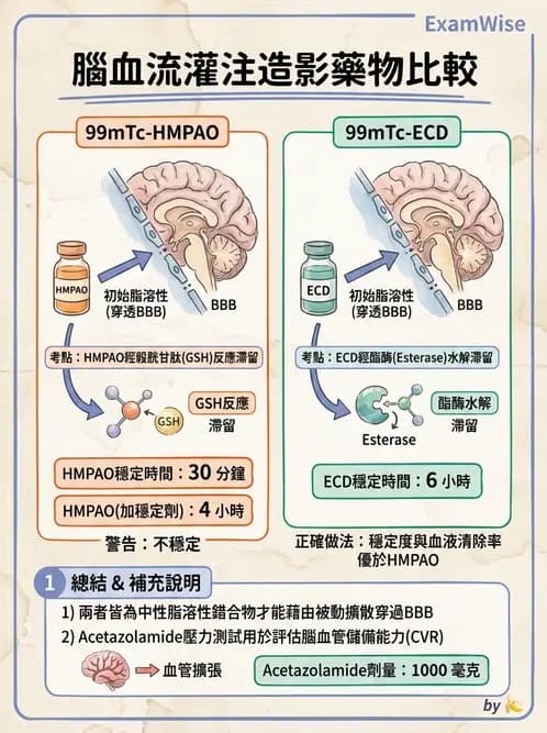 放射 - 腦部造影SPECT藥物 - AI 圖文解析預覽