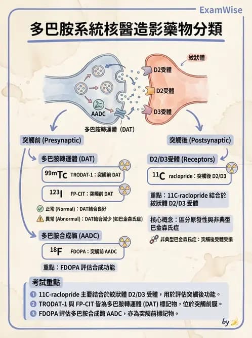 放射 - 腦神經PET藥物 - AI 圖文解析預覽
