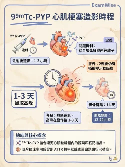 放射 - 心室功能造影 - AI 圖文解析預覽