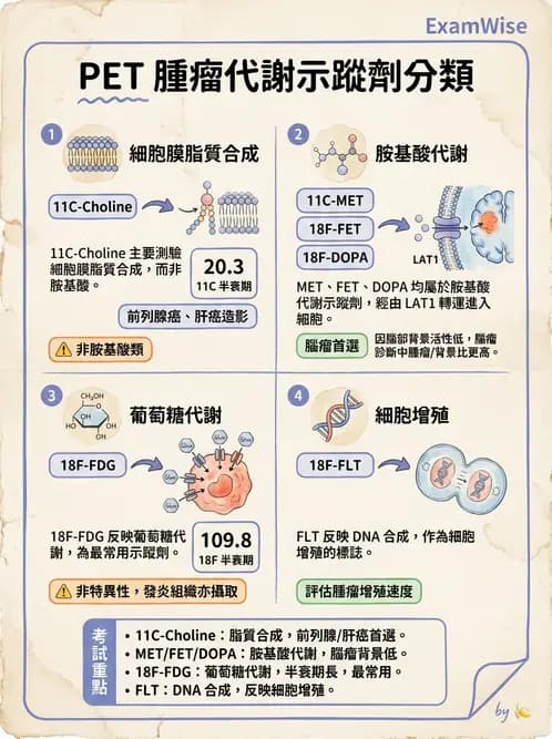 放射 - 腫瘤PET藥物 - AI 圖文解析預覽