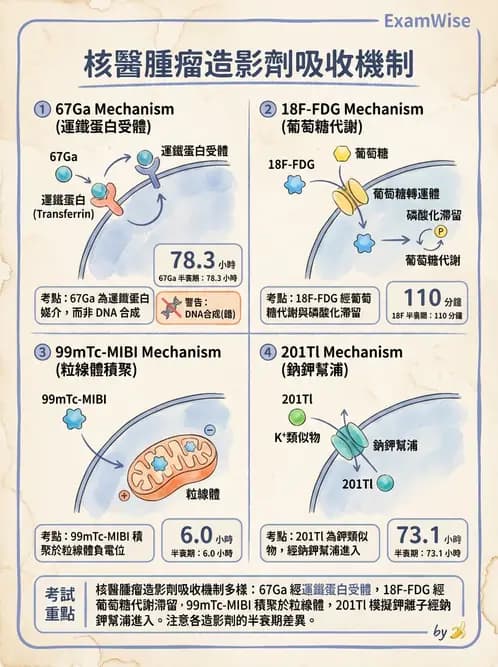 放射 - 核醫藥物 - AI 圖文解析預覽