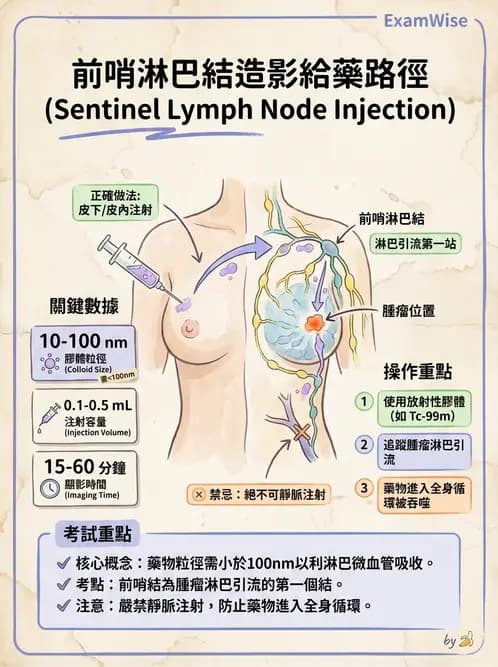 放射 - 副甲狀腺與前哨淋巴結造影 - AI 圖文解析預覽