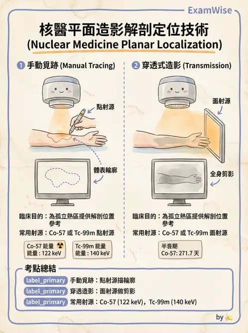放射 - 副甲狀腺與前哨淋巴結造影 - AI 圖文解析預覽