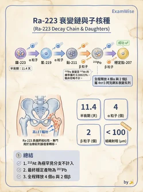 放射 - 蛻變類型與計算 - AI 圖文解析預覽