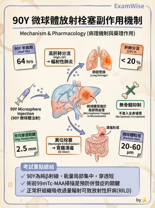 放射 - 腫瘤治療 - AI 圖文解析預覽