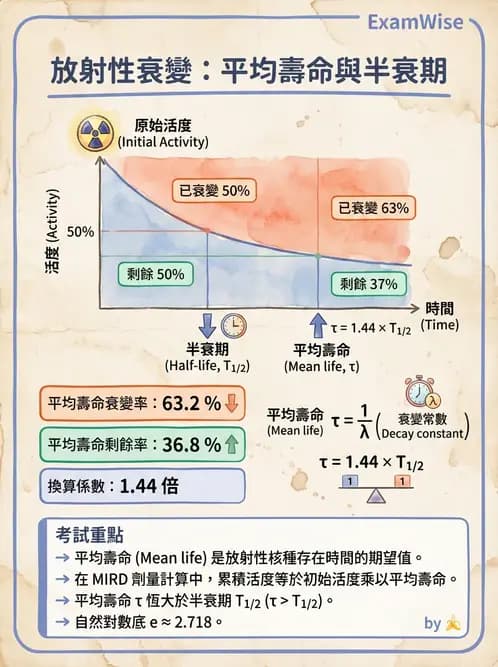 放射 - 蛻變類型與計算 - AI 圖文解析預覽