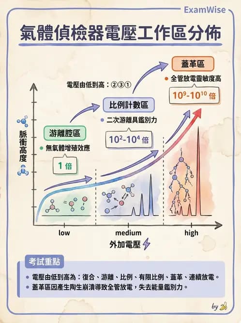放射 - 充氣式偵測器 - AI 圖文解析預覽
