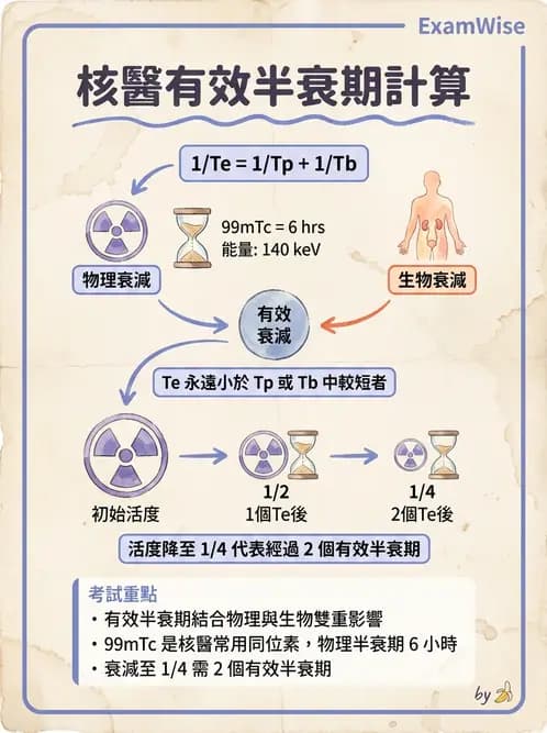 放射 - 腫瘤治療 - AI 圖文解析預覽