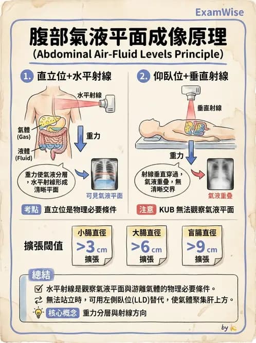 放射 - 軀幹四肢攝影技術 - AI 圖文解析預覽