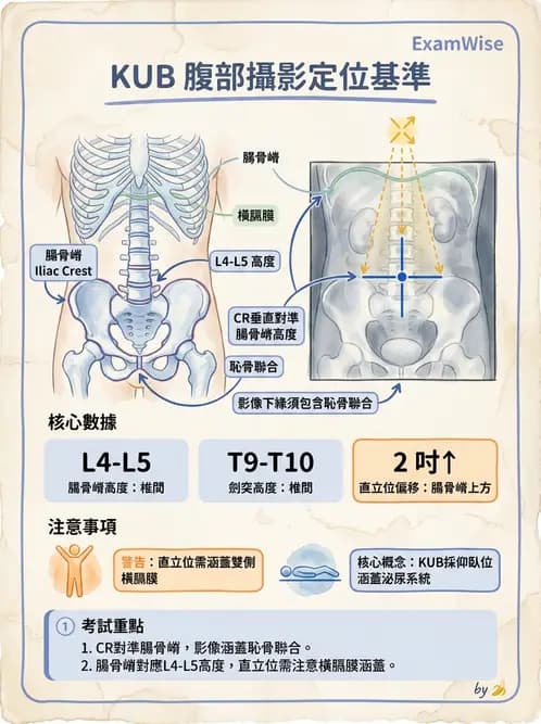 放射 - 軀幹四肢攝影技術 - AI 圖文解析預覽