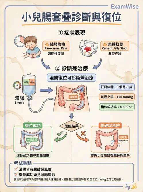 放射 - 消化道造影 - AI 圖文解析預覽