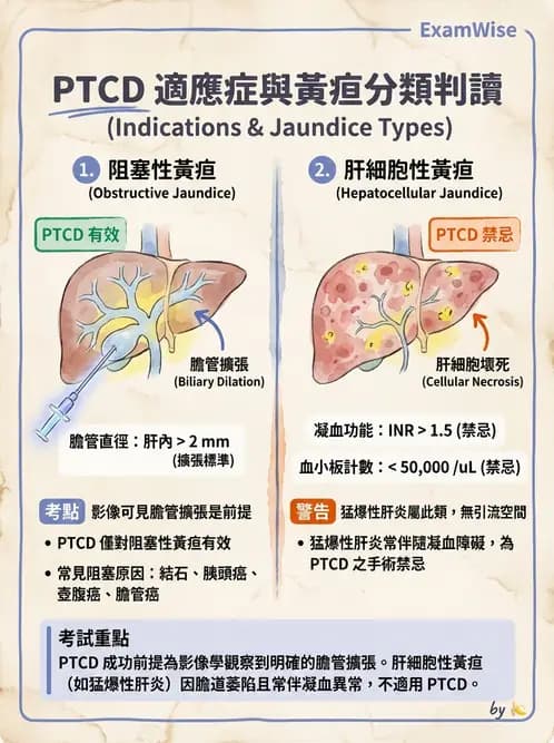 放射 - 導管技術與介入性治療 - AI 圖文解析預覽