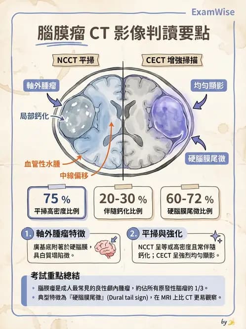 放射 - 頭頸部CT診斷 - AI 圖文解析預覽