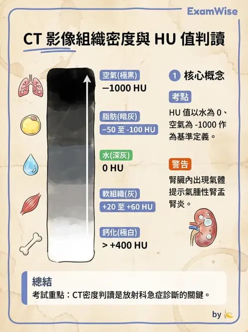 放射 - CTA與CT影像技術應用 - AI 圖文解析預覽
