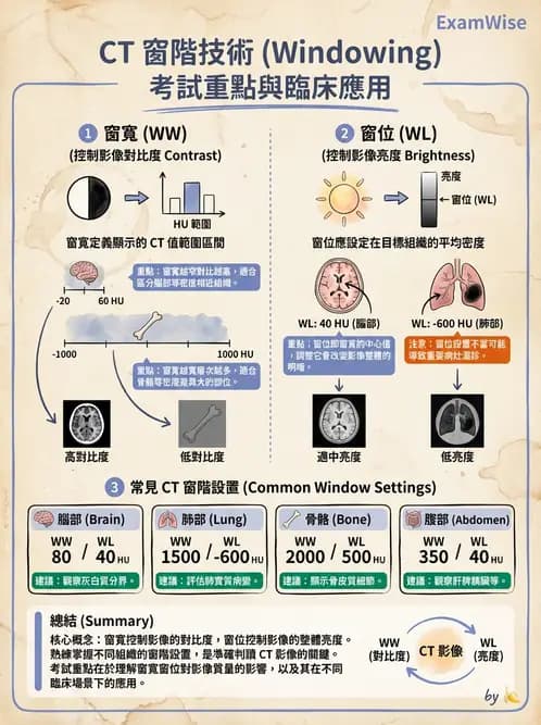放射 - CTA與CT影像技術應用 - AI 圖文解析預覽