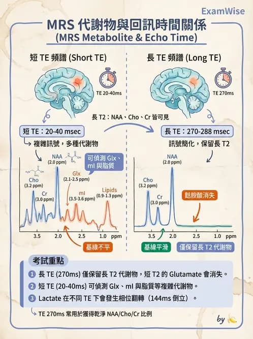 放射 - MRI脈衝序列與訊號技術 - AI 圖文解析預覽