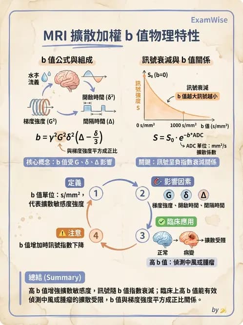 放射 - MR進階影像與臨床應用 - AI 圖文解析預覽