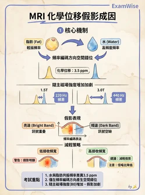 放射 - 磁振影像品質與參數 - AI 圖文解析預覽