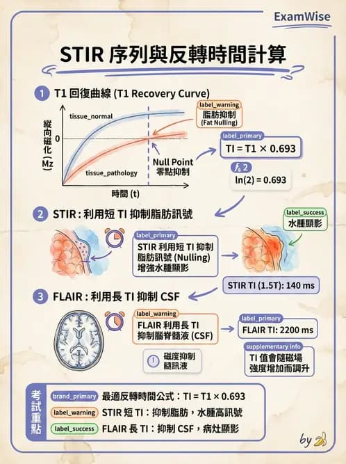 放射 - MRI脈衝序列與訊號技術 - AI 圖文解析預覽
