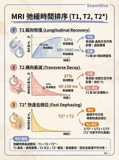 放射 - 磁振造影原理 - AI 圖文解析預覽