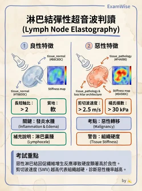 放射 - 腎臟血管與其他超音波 - AI 圖文解析預覽