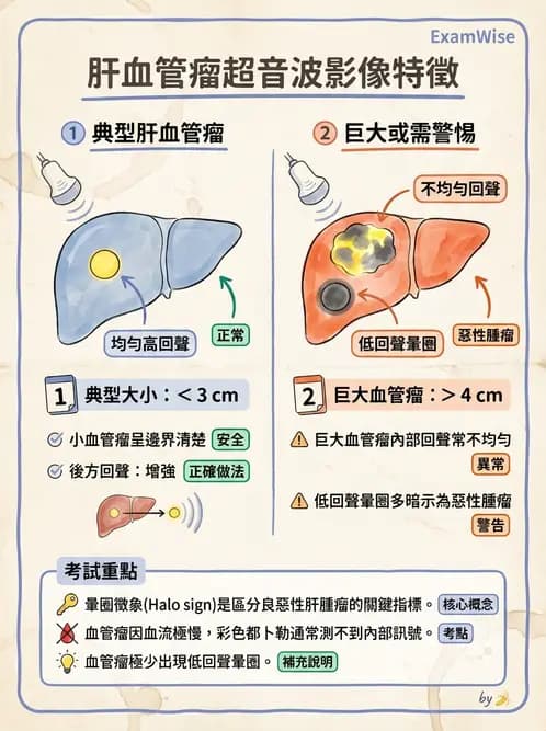放射 - 肝臟超音波 - AI 圖文解析預覽
