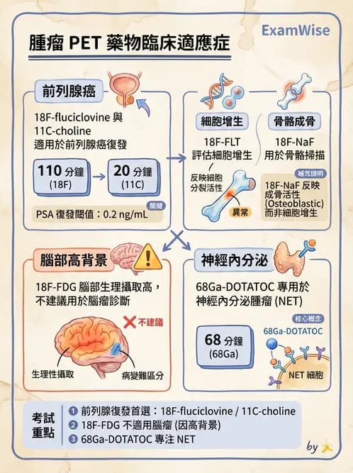 放射 - 腫瘤PET藥物 - AI 圖文解析預覽