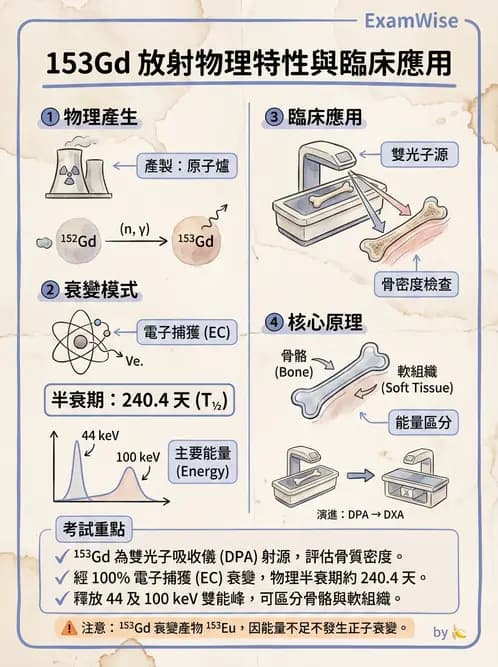 放射 - 蛻變類型與計算 - AI 圖文解析預覽