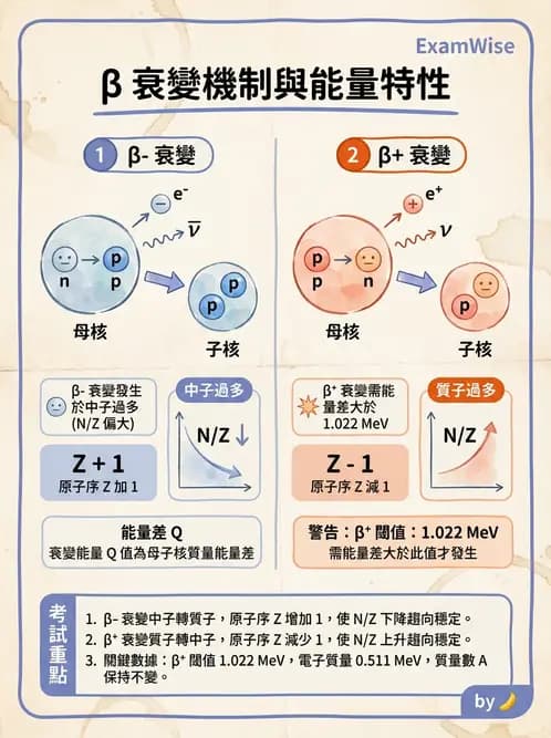 放射 - 蛻變類型與計算 - AI 圖文解析預覽