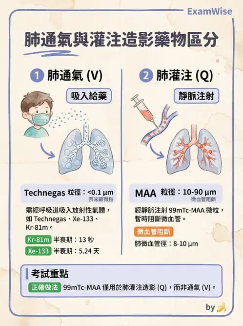 放射 - 肺肝膽與製劑通則 - AI 圖文解析預覽