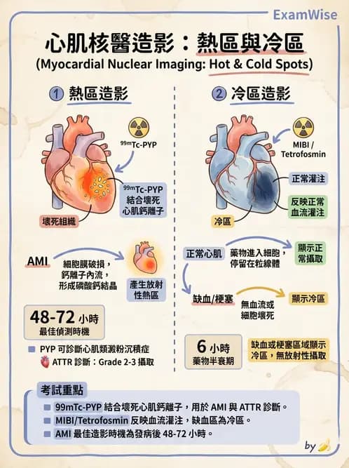 放射 - 心肌造影SPECT藥物 - AI 圖文解析預覽