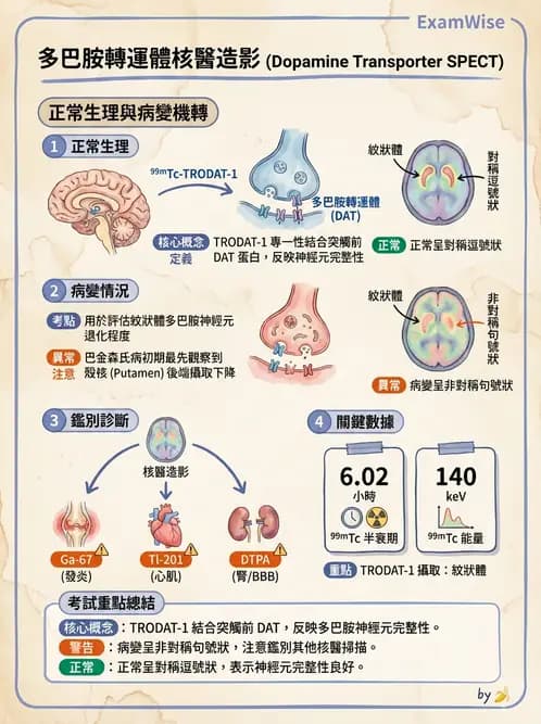 放射 - 腦部造影SPECT藥物 - AI 圖文解析預覽