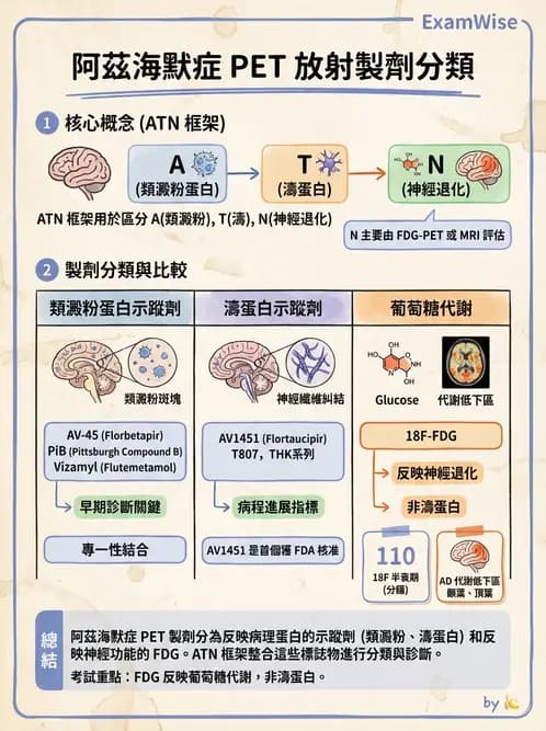 放射 - 腦神經PET藥物 - AI 圖文解析預覽