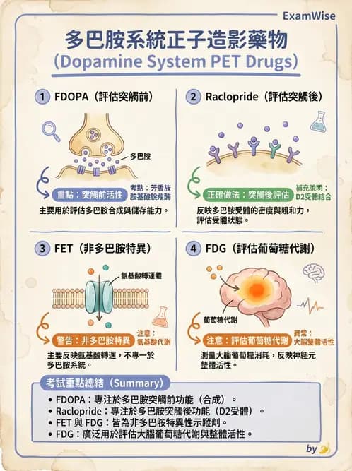 放射 - 腦神經PET藥物 - AI 圖文解析預覽